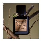 Brecourt Contre Pouvoir