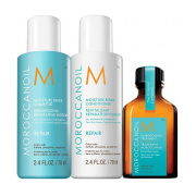 Moroccanoil Repair Moisture Travel Trio