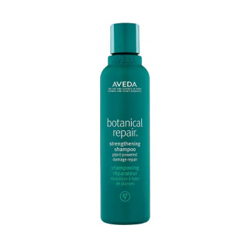 Aveda Botanical Repair