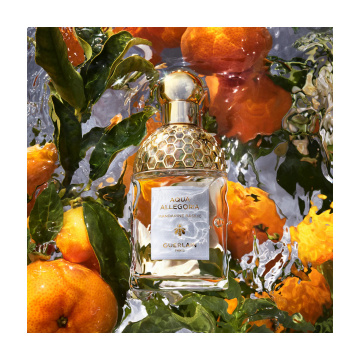 Guerlain Aqua Allegoria Mandarine Basilic Refillable