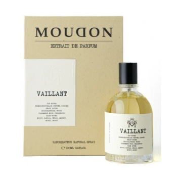 Moudon Vaillant