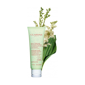 Clarins Purifying Gentle