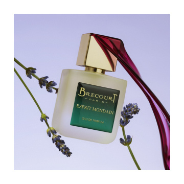 Brecourt Esprit Mondain