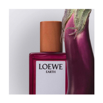 Loewe Earth