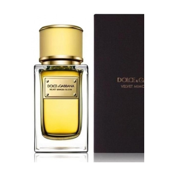 Dolce & Gabbana Velvet Collection Mimosa Bloom