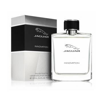 Jaguar Innovation