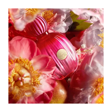 Antonio Banderas The Icon